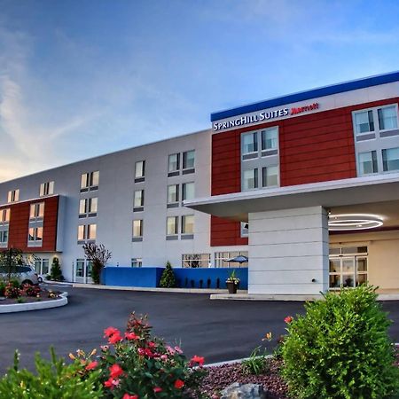 Springhill Suites By Marriott Scranton Montage Mountain Moosic Zewnętrze zdjęcie